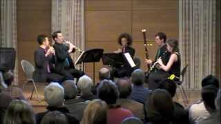 Nielsen Wind Quintet Op 43 3rd Mvt  Ellipsis Quintet [upl. by Enylecoj]