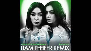 Charli XCX amp Rina Sawayama  Beg For You Liam Pfeifer Remix [upl. by Animaj]