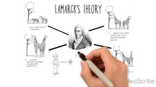 Theory of Evolution  Darwin Lamarck [upl. by Acirre]