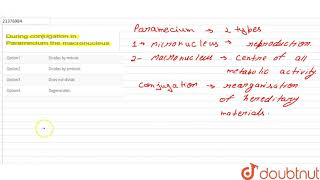 During conjugation in Paramecium the macronucleus [upl. by Annel946]