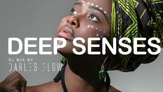 Darles Flow  Deep Senses  Deep Afro House  Vocal Mix [upl. by Davin249]