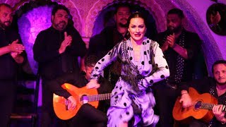 Adela Campallo en Tablao Flamenco Cordobes 17062019 [upl. by Nahs478]