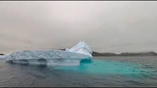 Coral Princess  World Cruise 2023  Iceberg cruise [upl. by Padraig]