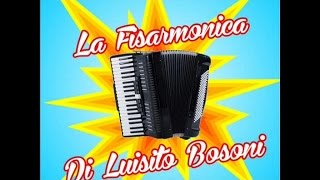 La fisarmonica di Luisito Bosoni [upl. by Shurwood]