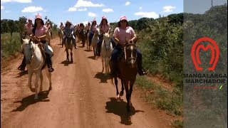 Preparo para as cavalgadas [upl. by Suiram]