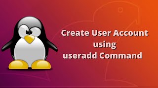 Linux Command Line Interface  useradd Command in Hindi [upl. by Adriaens631]