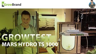 Mars Hydro TS1000  Growtest von Growbrand [upl. by Martina]