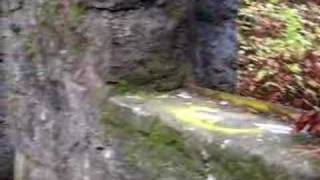 Witches Castle In Portland Oregon  HAUNTED  GHOSTS  PARANORMAL ACTIVITY [upl. by Jae]