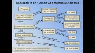 Elevated Anion Gap Metabolic Acidoses  Abridged Understanding ABGs  Lecture 8 [upl. by Ellemaj]