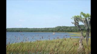 Ocean Pond  Olustee Florida [upl. by Tereve]