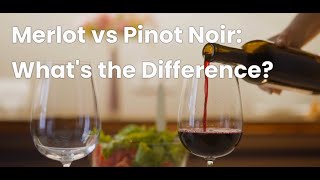 Wine Showdown Merlot vs Pinot Noir 🍇 [upl. by Neela611]