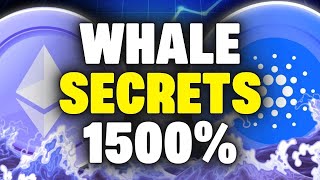 Crypto Whales READY TO STRIKE  Crucial Binance BUSD Updates  Cardano Ethereum Moves [upl. by Harts331]