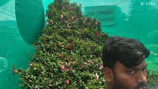 LAL BAGH  FLOWER SHOW  2024 BANGLORE [upl. by Eslehc]