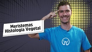 Meristemas  Histologia Vegetal  Brasil Escola [upl. by Elburr328]