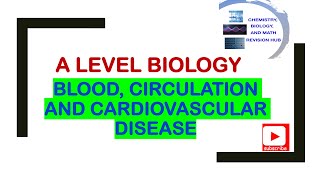 A level  biology  Topic 1B  blood  circulation  cardiovascular disease  Pearson Edexcel [upl. by Nniuq]