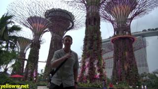 Singapore Gardens by the Bay Travel Guide [upl. by Ahtnama]