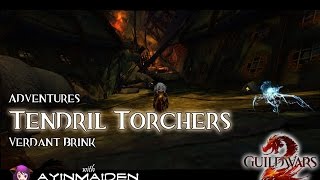 Guild Wars 2  Adventure  Tendril Torchers Gold [upl. by Ecirual]