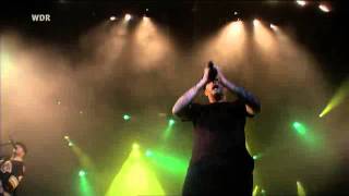 Dropkick Murphys Barroom Hero Area 4 2011 [upl. by Ytirev]