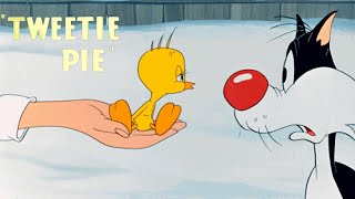 Tweetie Pie 1947 Merrie Melodies Cartoon Short Film  Sylvester as Thomas  Review [upl. by Chicoine]