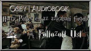 Harry Potter és az azkabani fogoly hangoskönyv remake  4 fejezet [upl. by Hardi]