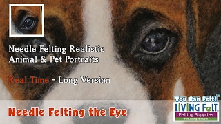 How to Needle Felt 2D Realistic Dog Animal amp Pet Portrait PART 1 Needle Felting the Eye  Real Time [upl. by Halsey]