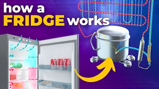 How does a Refrigerator work 3D Animation [upl. by Reeves718]