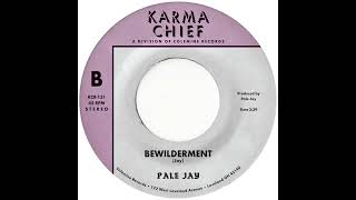 Pale Jay  Bewilderment OFFICIAL AUDIO [upl. by Chita]