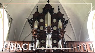 The Schnitger organ in Uithuizen  Netherlands Bach Society [upl. by Aynwad]