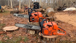 Head to Head Echo CS590 Timberwolf Vs CS620PW Chainsaw Review Ep 25 [upl. by Chaworth610]