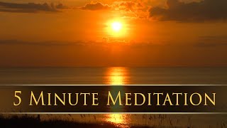 5 Minute Meditation Music for Relaxation ✨ Peacefull Wellness ✨ Destress [upl. by Franklin852]