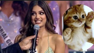 El viral momento de Miss India Maullando como un gato durante la gala del Miss Universe [upl. by Malkin]