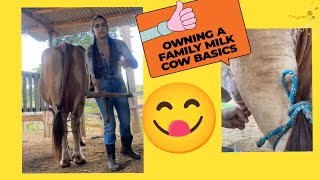 cow milking by hand beautiful girl ❤️cow milking village life vlog [upl. by Guarino]