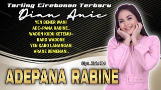 ADEPANA RABINE  DIAN ANIC  FULL LIRIK [upl. by Arihsat505]