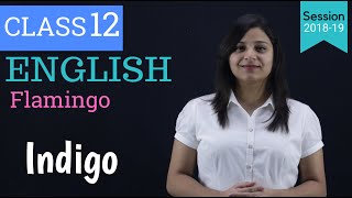 indigo class 12 in hindi  WITH NOTES [upl. by Etnaik]