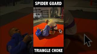 Triangle Choke Set Up From Spider Guard [upl. by Einad]