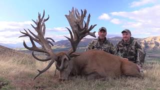 Giant red stag hunting in New Zealand with Exclusive Adventures  Record Book stag [upl. by Adirehs228]