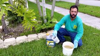 Palm Tree Fertilizer NaturePest 7862227069 [upl. by Sayre15]