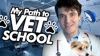 How I Got Into VET SCHOOL  ADVICE [upl. by Chapin]