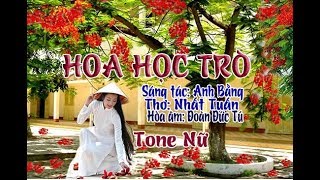 karaoke Hoa Học Trò tone Nữ🎤 [upl. by Mercuri]