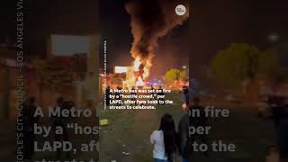 Dodgers fans get rowdy celebrate in Los Angeles after win Shorts [upl. by Melgar178]