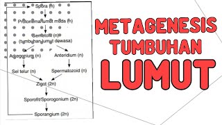 Metagenesis Tumbuhan Lumut [upl. by Revert]