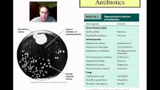 Control of Microbial Growth Part 1mp4 [upl. by Uni488]