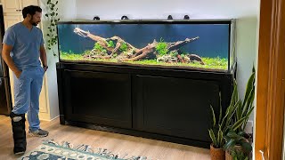 XXL NATURE AQUARIUM BUILD  FULL STEP BY STEP [upl. by Otrebireh535]