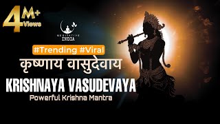 KRISHANAYA VASUDEVAYA 108 Times  POWERFUL Krishna Mantra for Inner Peace  Listen for a Sound Sleep [upl. by Berky860]