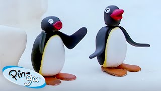 Pingu Causes Mischief 🐧  Pingu  Official Channel  Cartoons For Kids [upl. by Dolan]