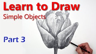 Fascinating Method for Drawing a Beautiful Tulip Convincingly in Pencil Drawing Basics PART 3 [upl. by Radcliffe]