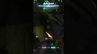 Right in the Nuts haloinfinite halo gaming haloinfinitemultiplayergameplay halocontent [upl. by Ashil]