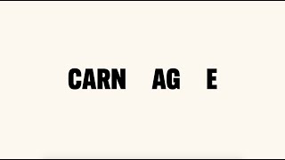 Nick Cave amp Warren Ellis  Carnage Official Lyric Video [upl. by Meelak487]