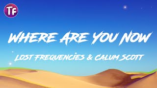 Lost Frequencies amp Calum Scott  Where Are You Now Lyrics [upl. by Morven]