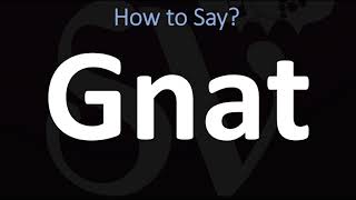 How to Pronounce GNAT CORRECTLY [upl. by Yrrab]